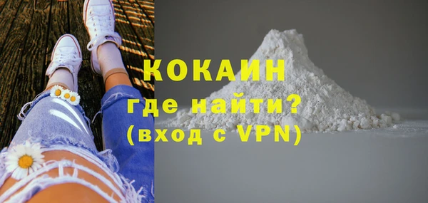молекула духа Богородицк