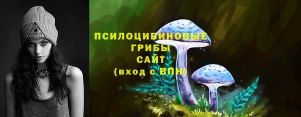 дурь Верхний Тагил