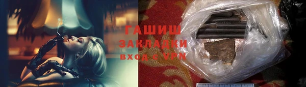 молекула духа Богородицк