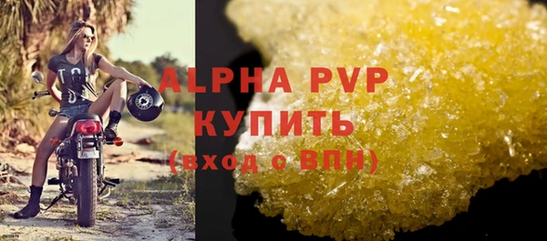 эйфоретик Богданович
