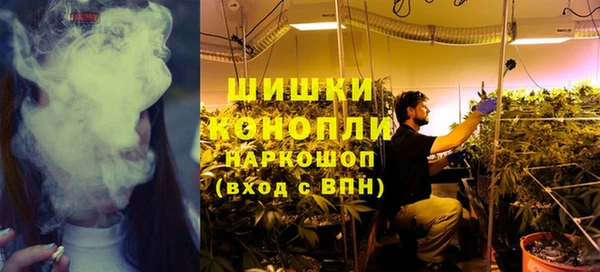 гидра Инта