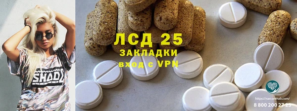 молекула духа Богородицк