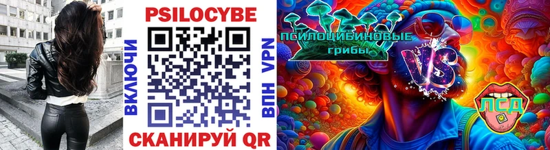 Галлюциногенные грибы Cubensis  Воткинск 